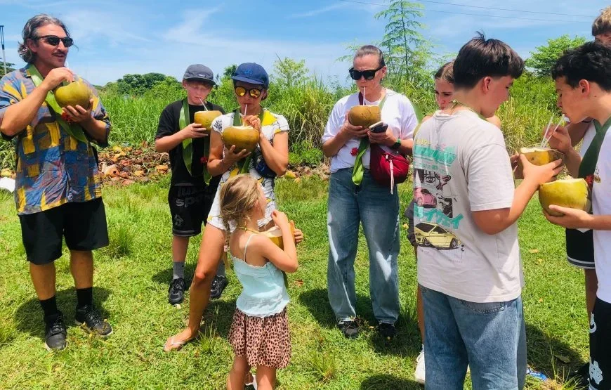 Nadi Airport to Tanoa Hotel (Novotel Nadi)