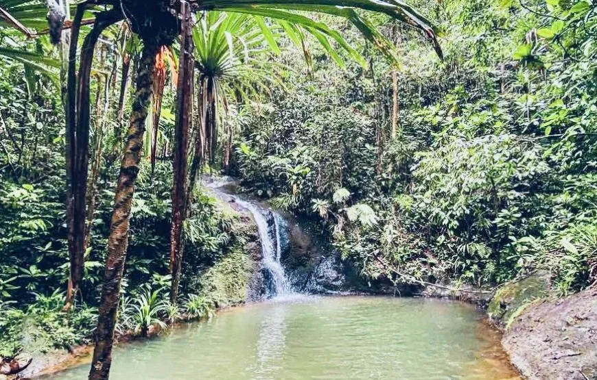 Fijian Nature and Waterfall Tour