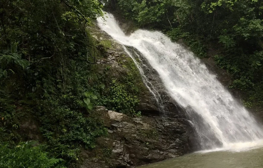 Sigatoka River Cruise Tour & Biausevu Waterfall Tour