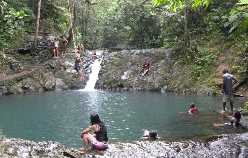 Colo-i-Suva Forest Waterfall Tour