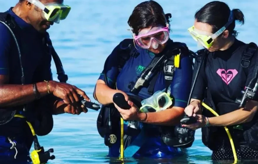 Snorkel with Sharks in Fiji