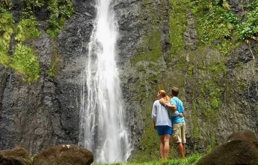 Colo-i-Suva Forest Waterfall Tour