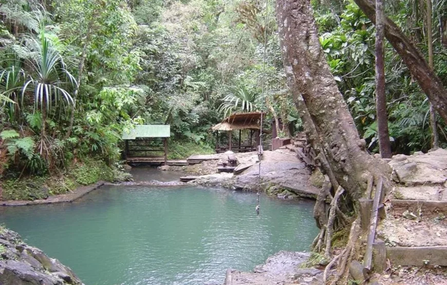 Colo-i-Suva Forest Waterfall Tour