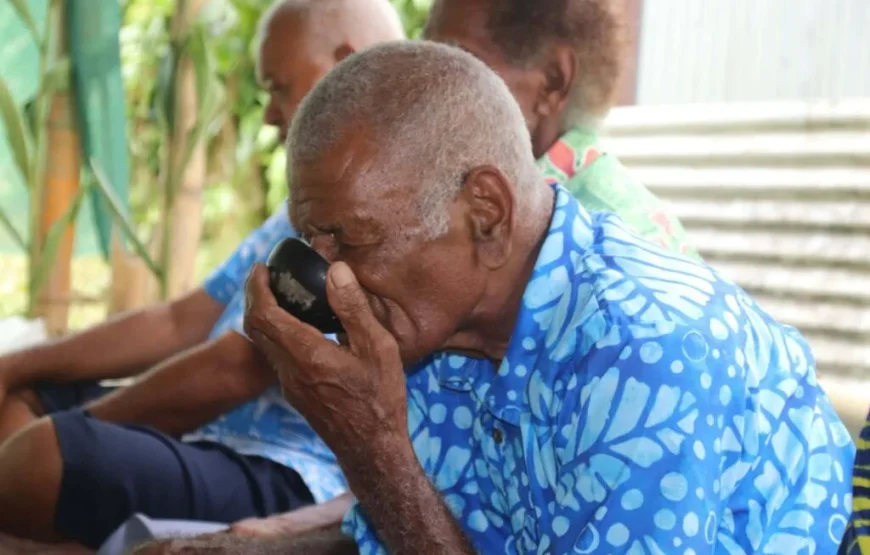 Traditional Fijian Village & Nubusenitoa River Pool Tour