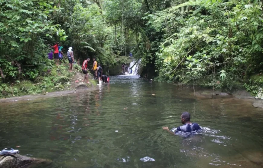 Traditional Fijian Village & Nubusenitoa River Pool Tour