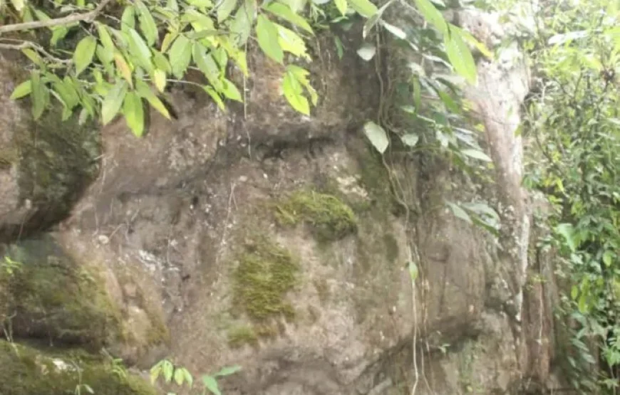 Traditional Fijian Village & Nubusenitoa River Pool Tour