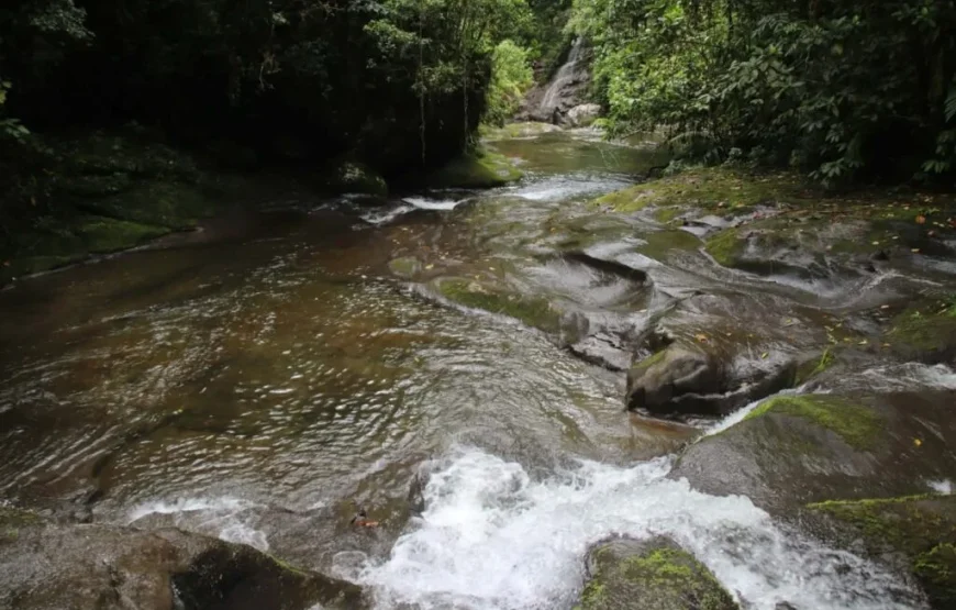 Traditional Fijian Village & Nubusenitoa River Pool Tour