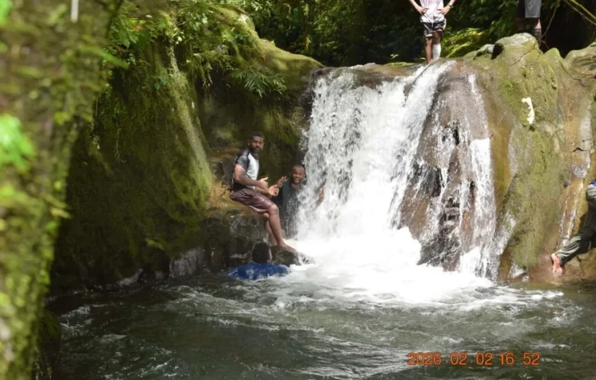 Traditional Fijian Village & Nubusenitoa River Pool Tour
